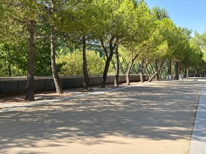 Entorno